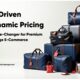 A Game-Changer for Premium Luggage E-Commerce